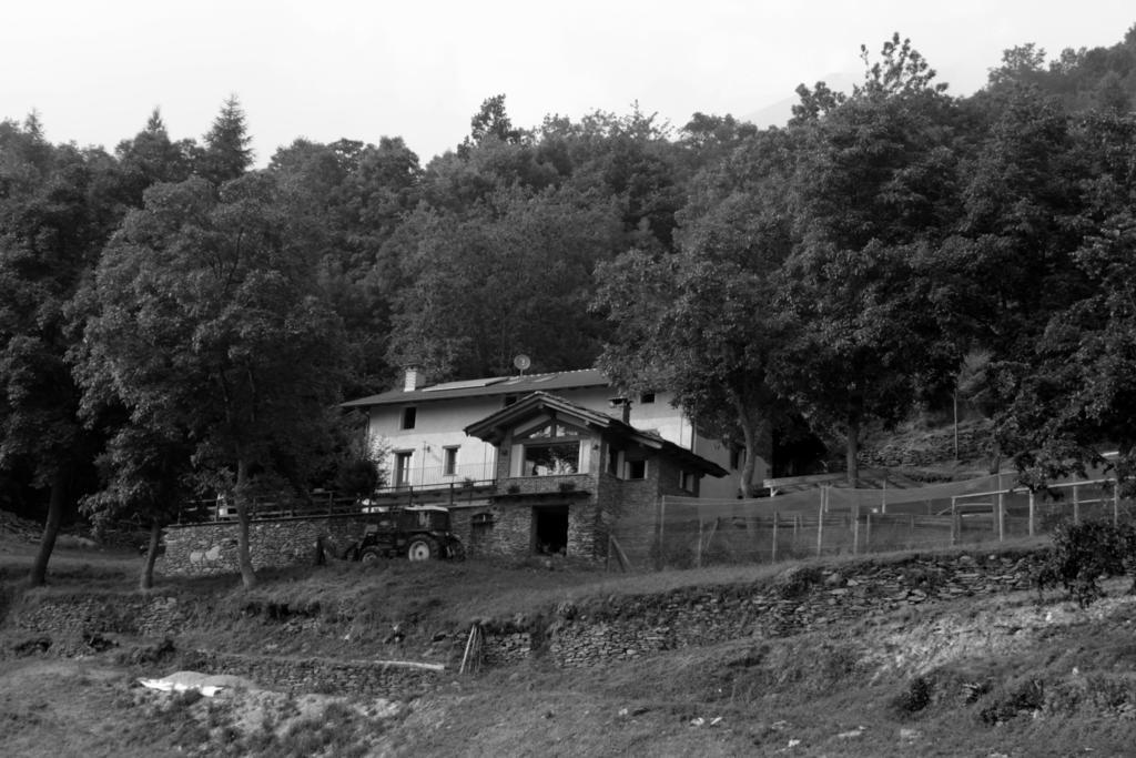 Locanda Il Campo Della Quercia San Damiano Macra Exterior photo